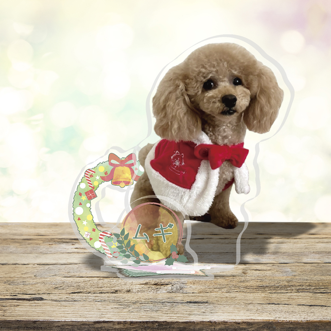 【クリスマス】ボタニカル